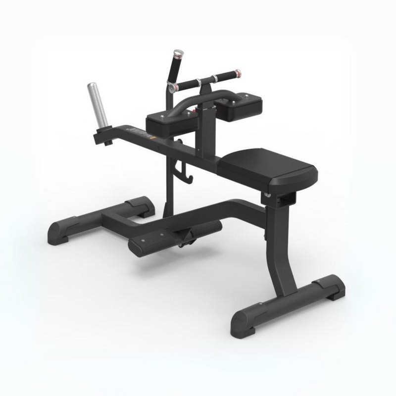'-Commercial Calf Raises-Gym Direct